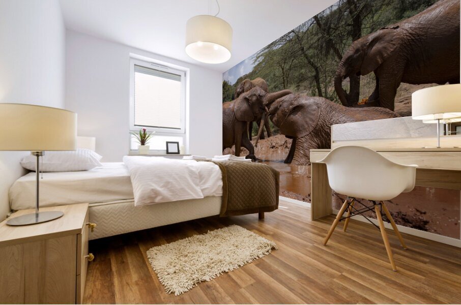 Orphaned elephants rehab center Sheldrick wildlife Impression murale