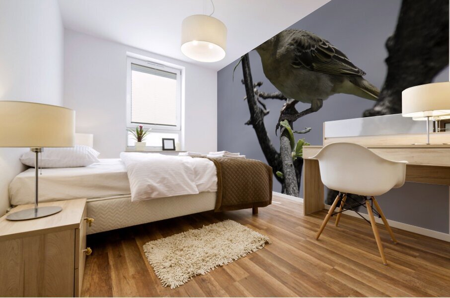 Little weaver Mural print