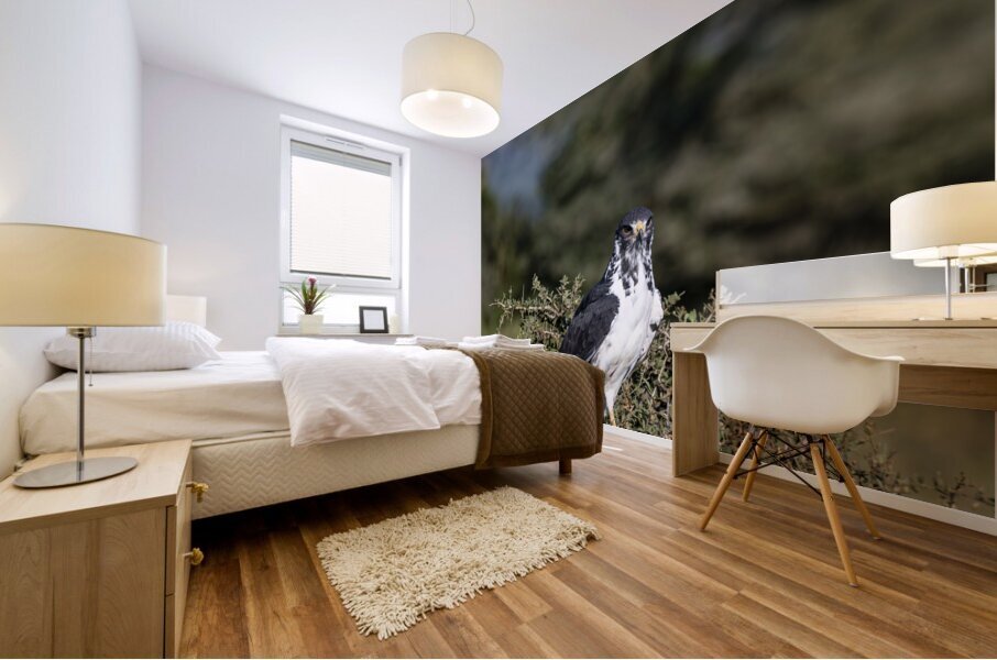 Augur Buzzard Lake Nakuru Lodge Africa  Mural print