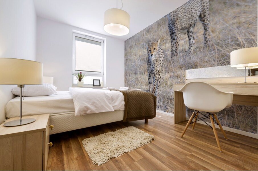 Cheetah cubs Amboseli National Park Kenya Mural print