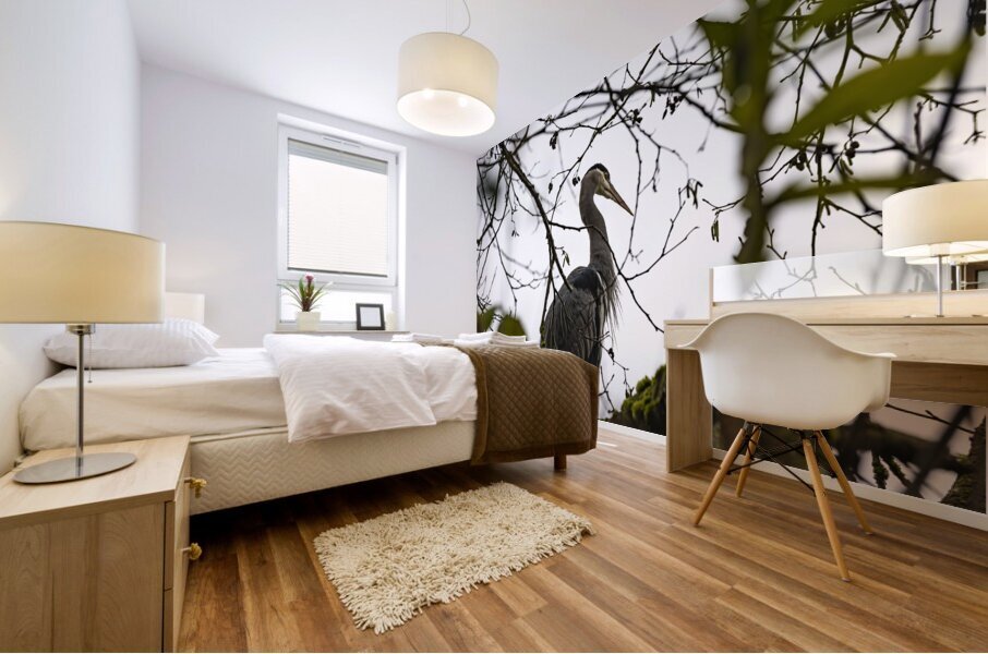 Great blue heron Chilliwack B.C Mural print