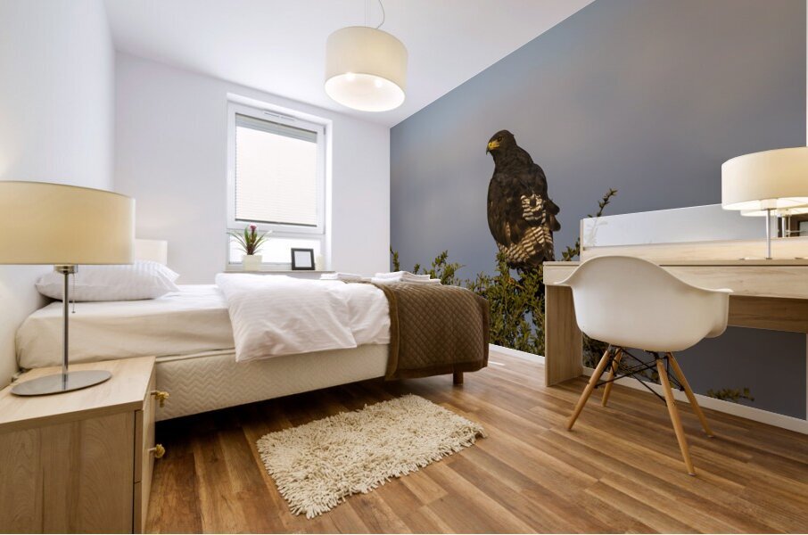 Hawk Lake Nakuru kenya Mural print