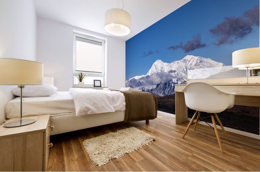 Mt.Denali  Mural print