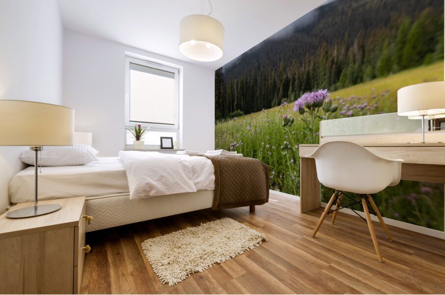 E.C Manning Provincial Park British Columbia Impression murale