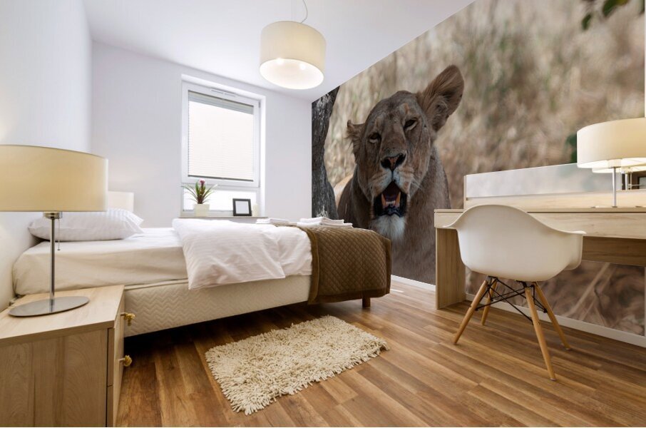 Loiness Sarengeti Africa Mural print