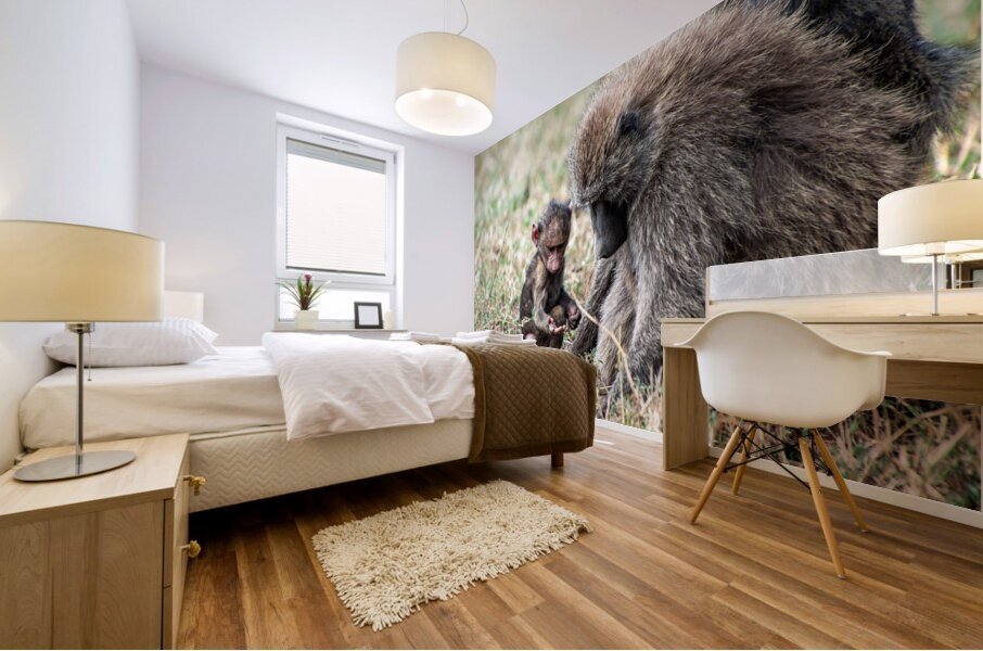 Baboon Lake Nakuru Africa Impression murale