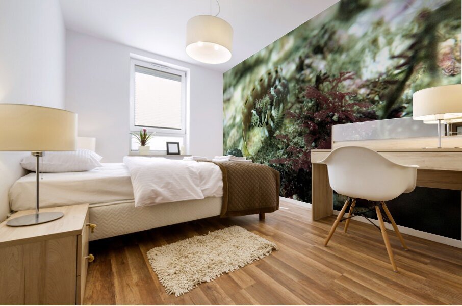 Decorated Warbonnet Mural print