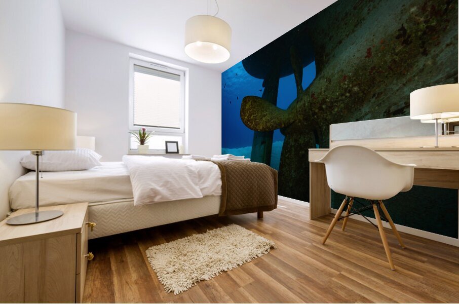 USS Kittiwake Grand Cayman Islands Mural print