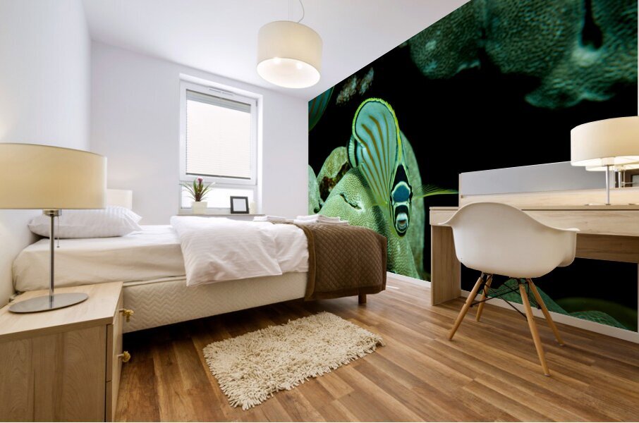 Ornate butterfly fish place of refuge hawaii Mural print