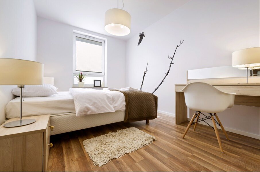 Eagle soaring over a tree Impression murale