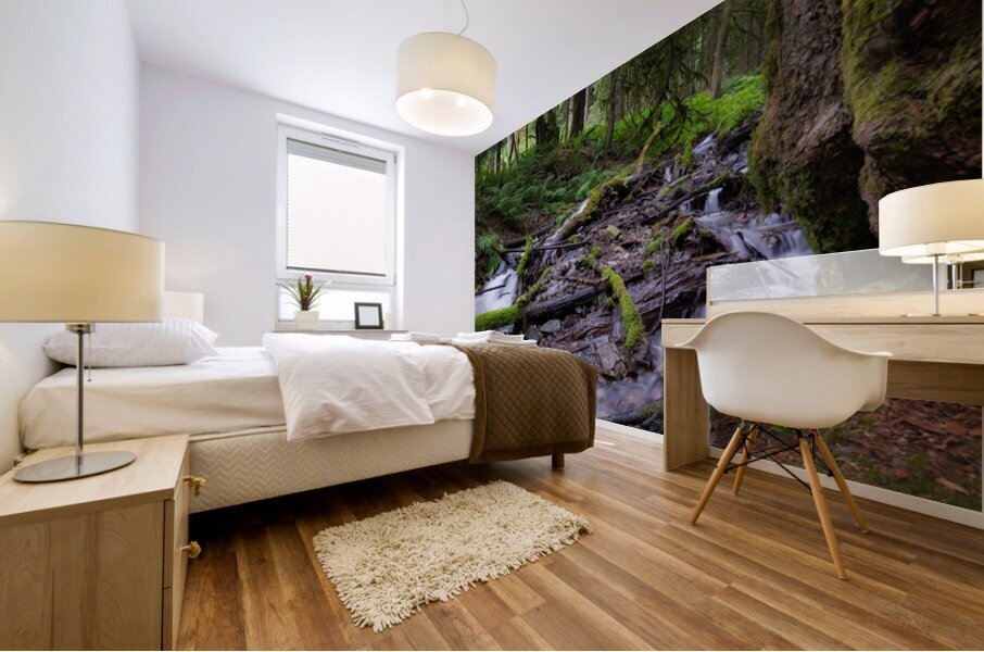 Bridal falls British Columbia creek 2 Mural print