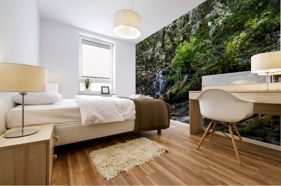 Stream at Bridal Falls Mural print