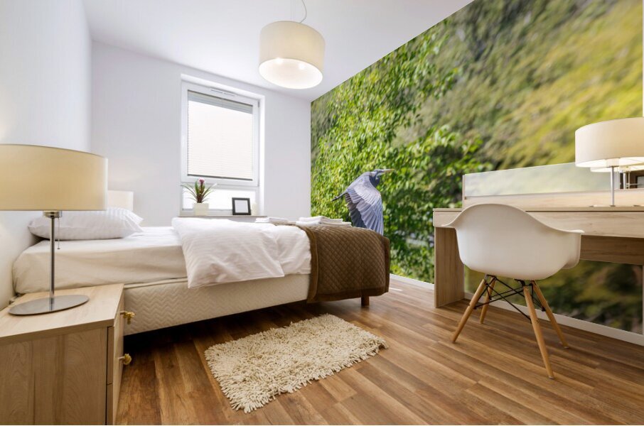 rifel bird sanctuary Impression murale