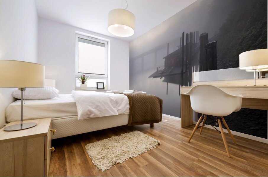 Fort Langley British Columbia Fog 2 Mural print