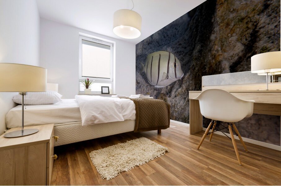 Convict Tang 2 Impression murale