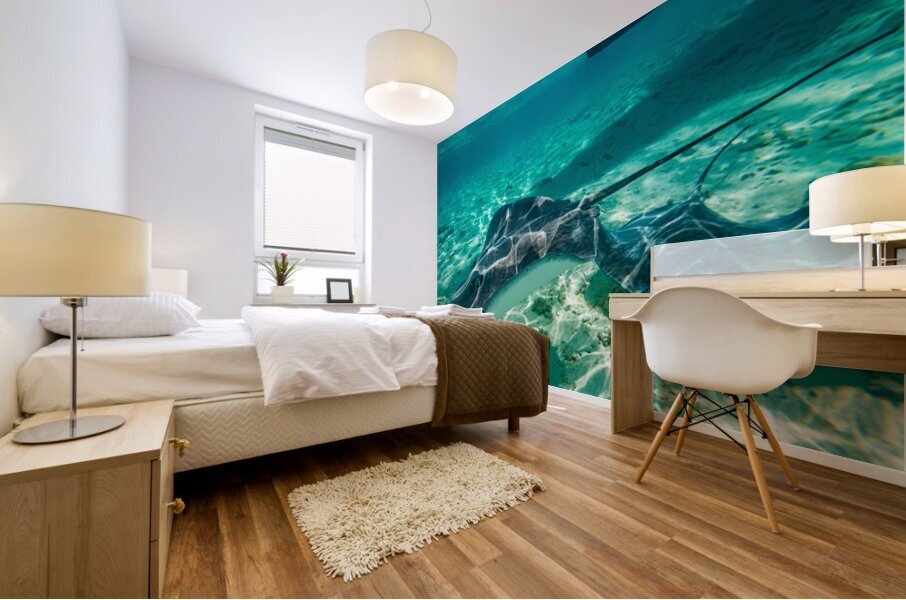 Sting rays Mural print