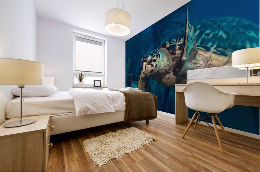 Hawksbilled turtle  Mural print