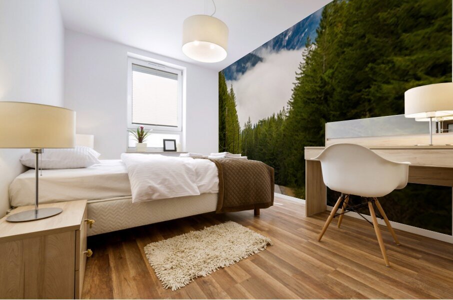 Chilliwack Lake Road British Columbia Mural print