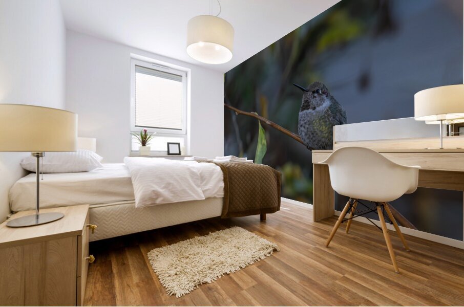 Rufous Hummingbird 3 Impression murale