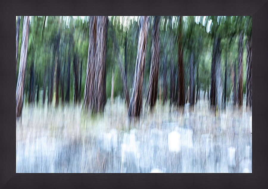 ICM forest Monck Park Nicola Valley B.C Picture Frame print
