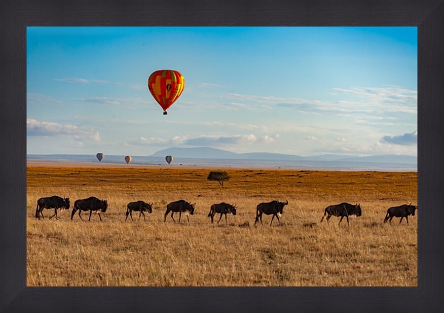 Masai Mara Picture Frame print