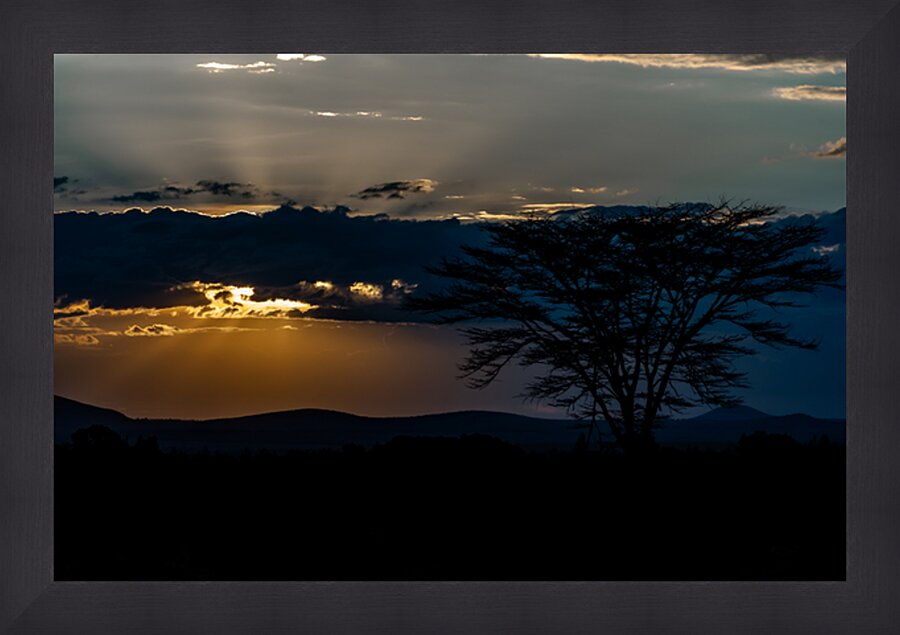 Sweetwaters game reserve Kenya africa Picture Frame print
