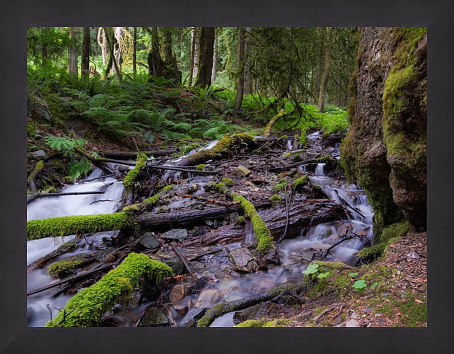Bridal falls British Columbia creek 2 Picture Frame print