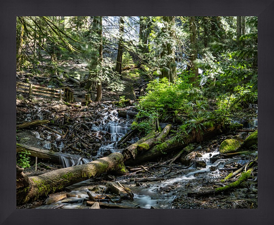 Stream at Bridal Falls Picture Frame print