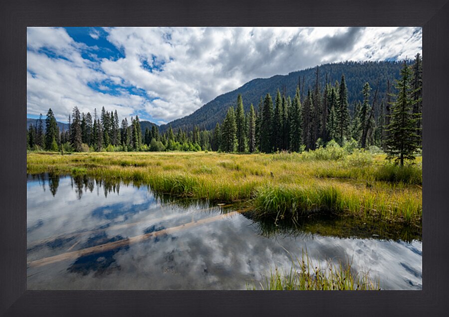 Beaver Pond E.C Manning Provincial Park British Columbia Picture Frame print