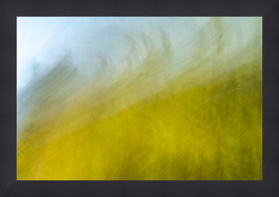 On the lake bog Houston trail Fort Langley British Columbia Canada 2 Picture Frame print