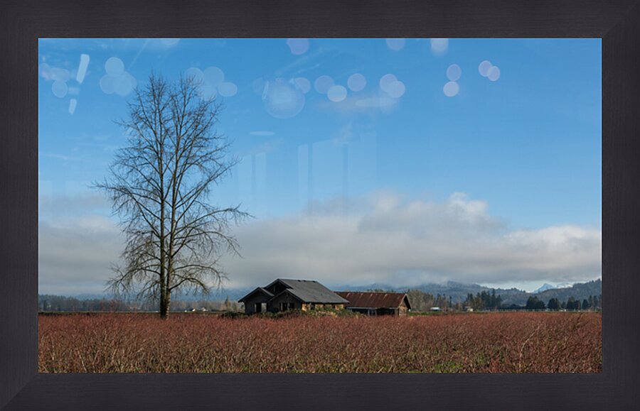 Old Farm House Glen Valley British Columbia Impression et Cadre photo