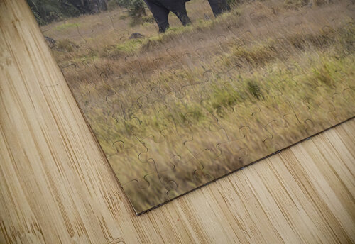  Elephants Amboseli National Park Kenya Randy Roy Photography puzzle