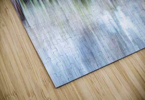 ICM forest Monck Park Nicola Valley B.C Randy Roy Photography puzzle