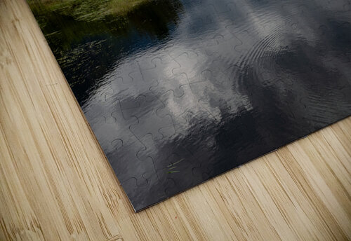 Heron cove Pitt lake B.C Randy Roy Photography puzzle