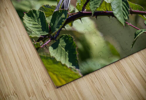 Chickadee Randy Roy Photography puzzle