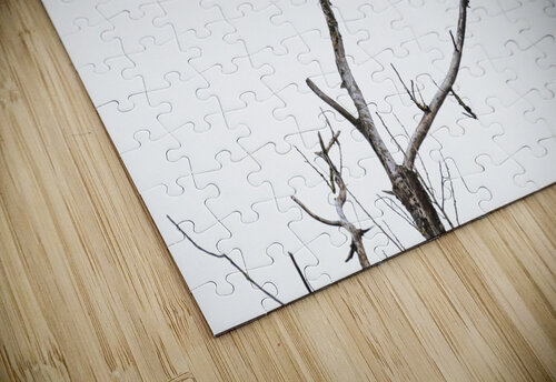 Eagle soaring over a tree Randy Roy Photography puzzle