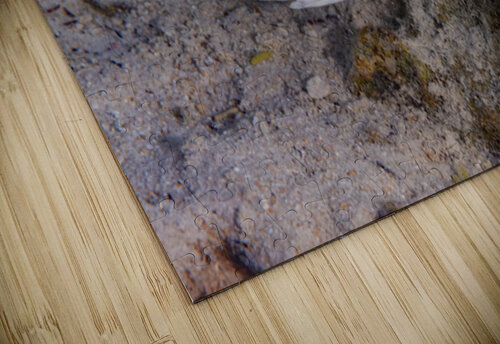 Convict Tang 2 Randy Roy Photography puzzle