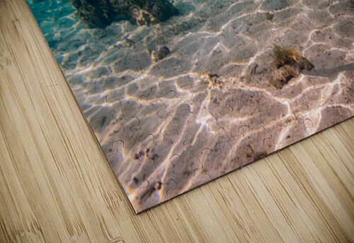 Black Tip Shark 2 Randy Roy Photography puzzle