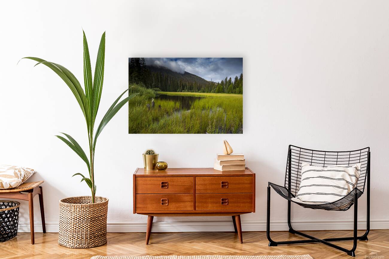 E.C Manning Provincial park British Columbia Reproduction