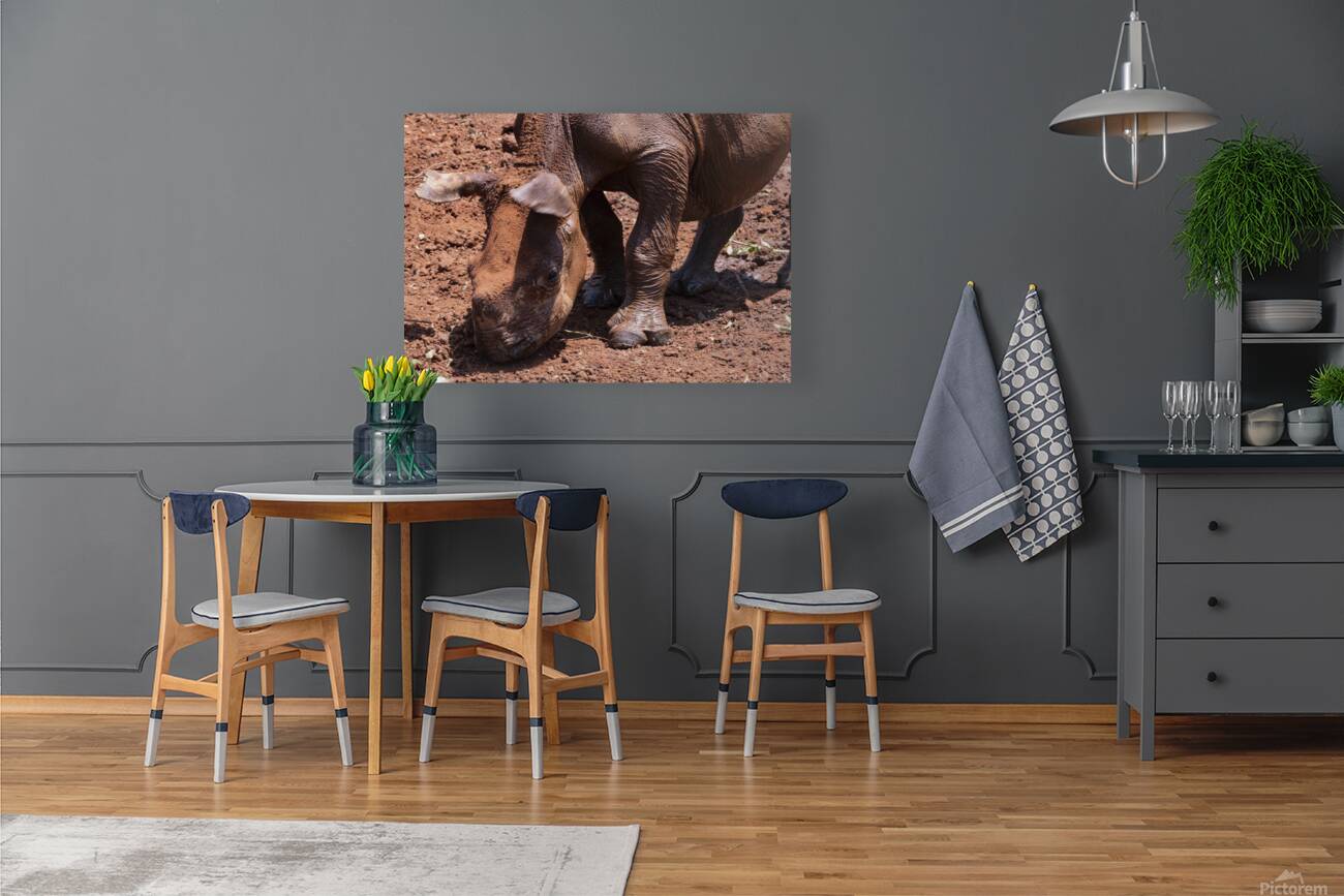 Sheldrick wildlife trust Nairobi  Reproduction