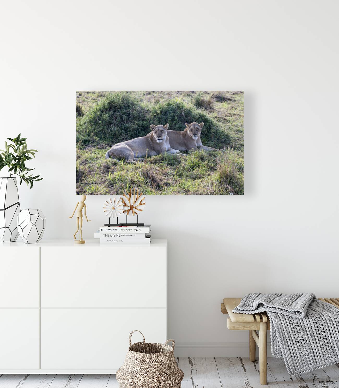 Ashnil Masai Mara Reproduction