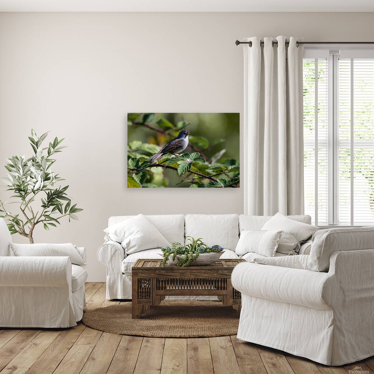 Chickadee Reproduction