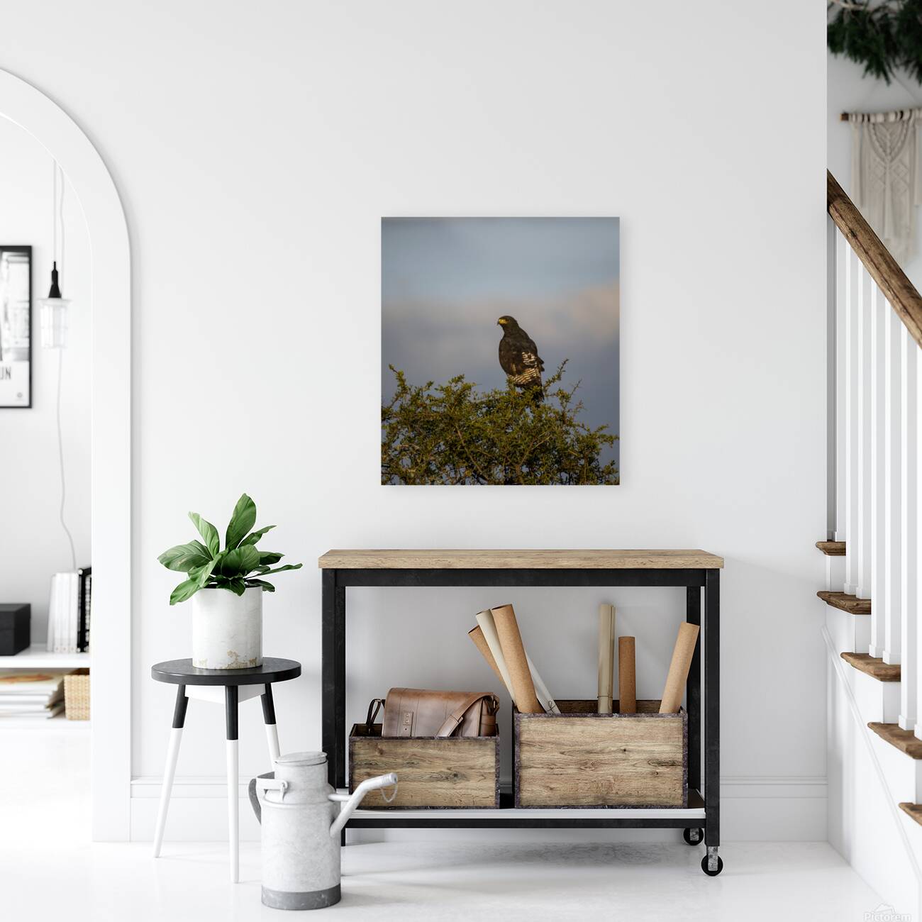 Hawk Lake Nakuru kenya Reproduction