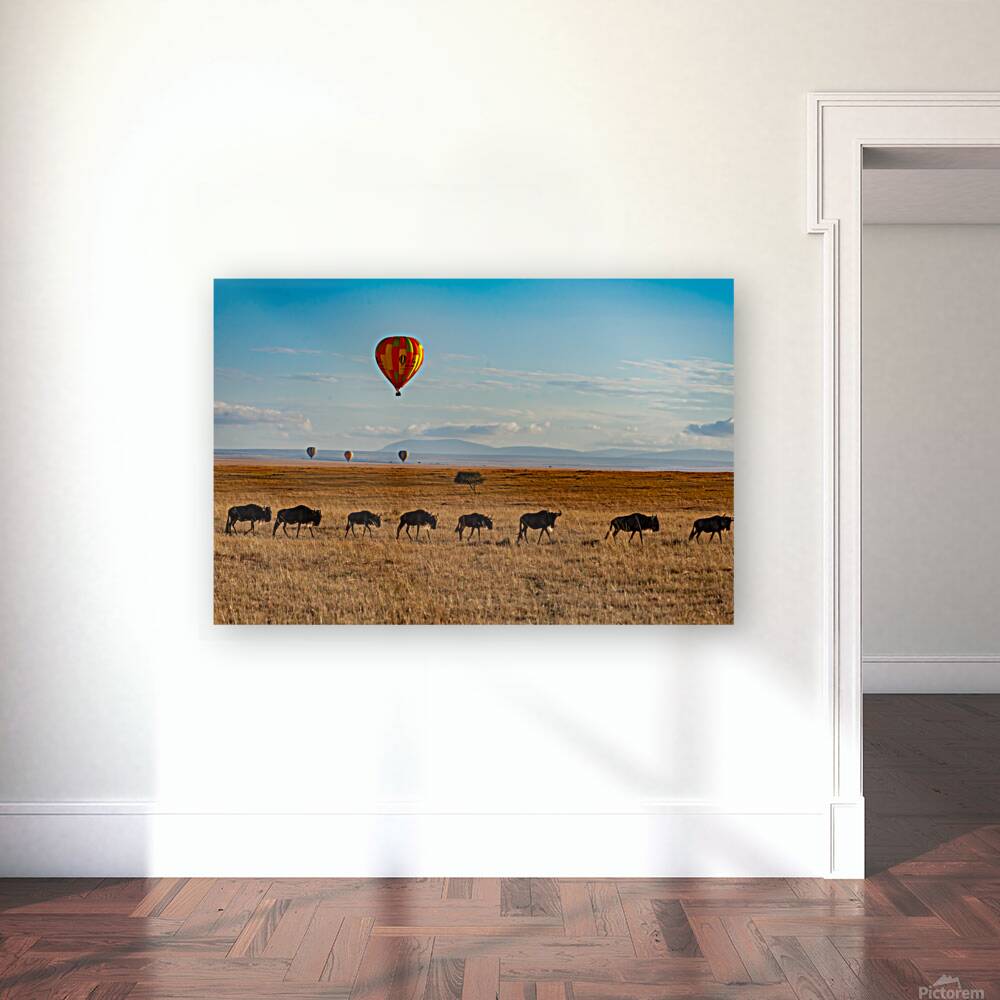 Masai Mara Reproduction