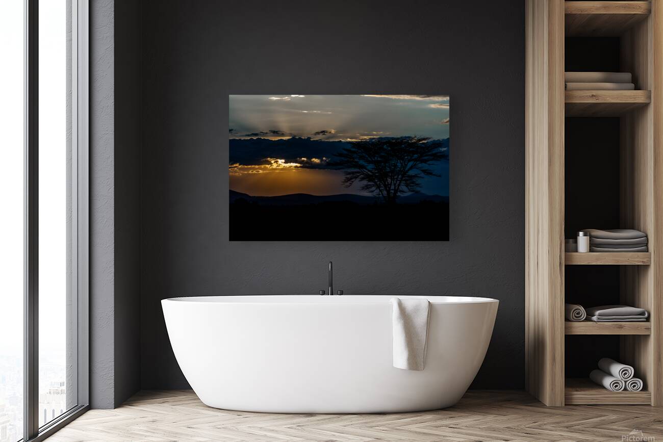 Sweetwaters game reserve Kenya africa Reproduction