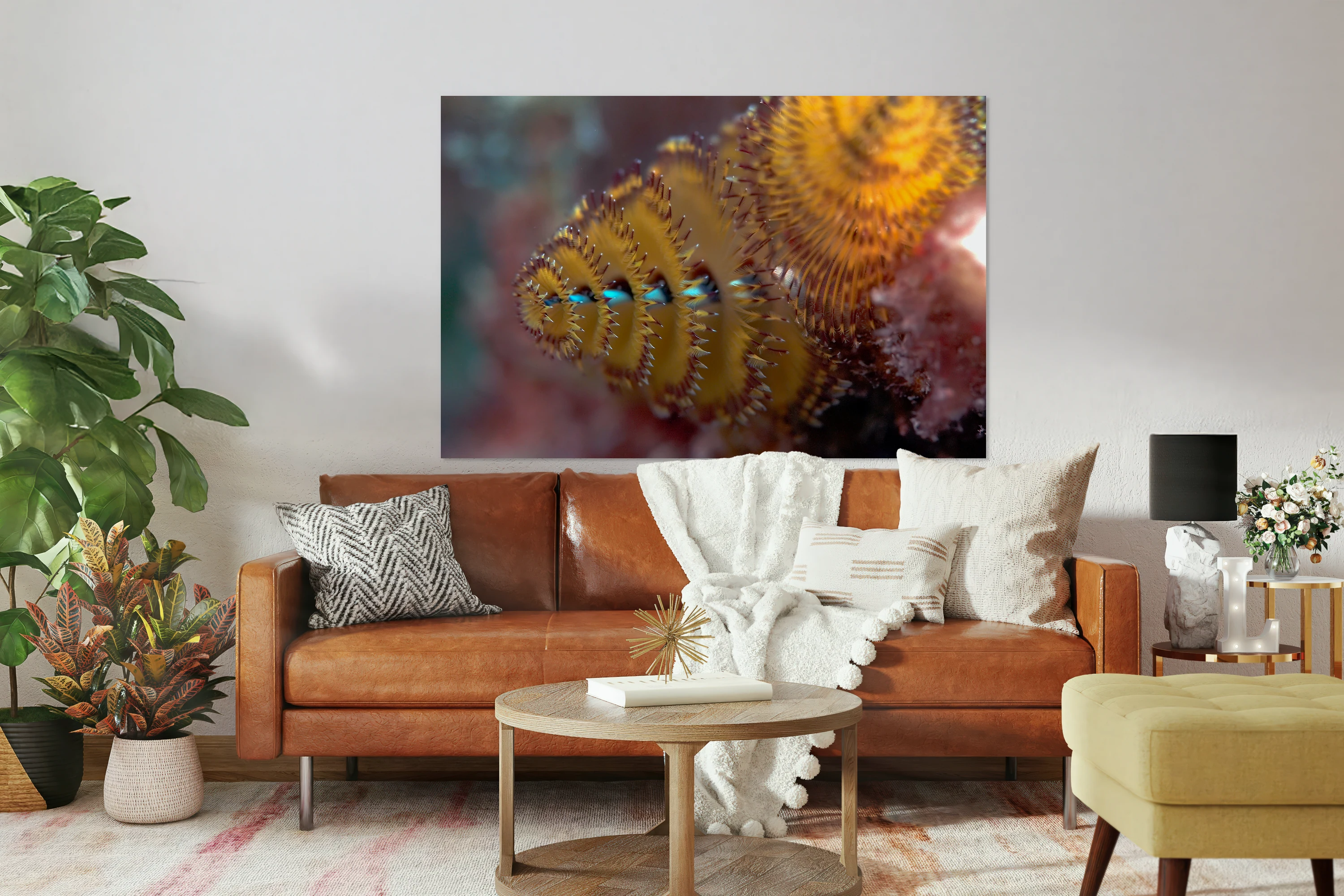 Chritmas tree worm