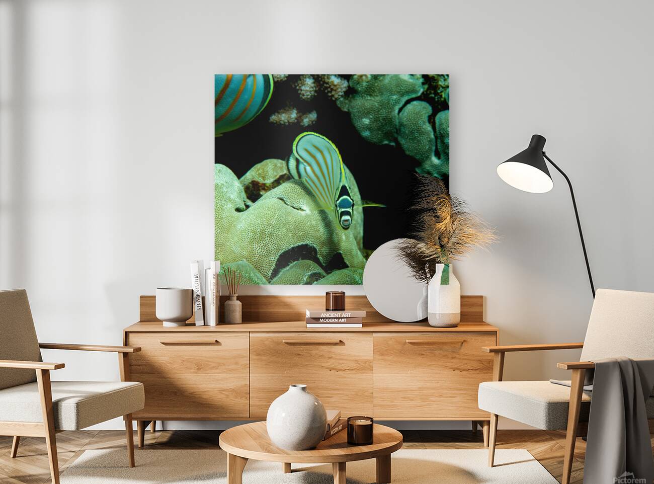 Ornate butterfly fish place of refuge hawaii Reproduction