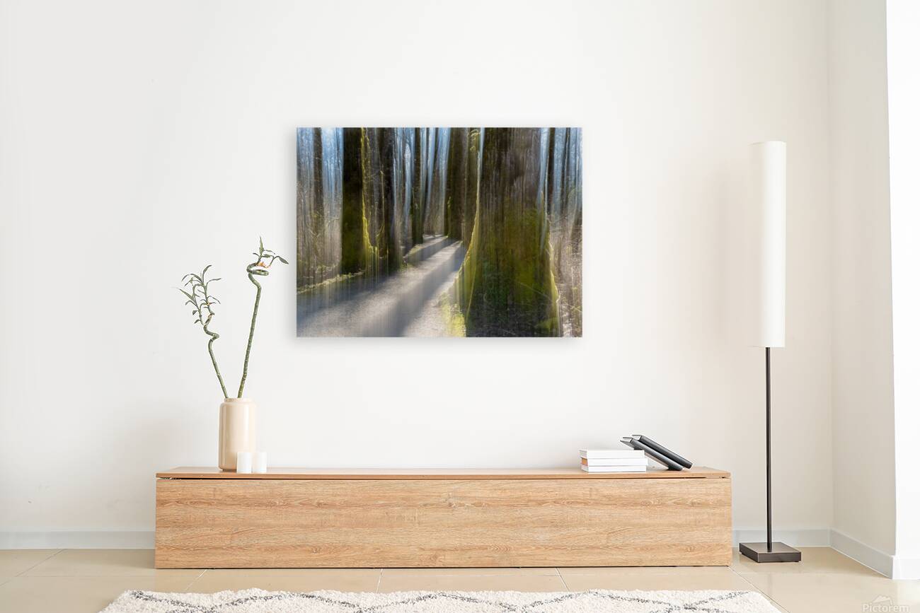 Brae Island ICM Reproduction