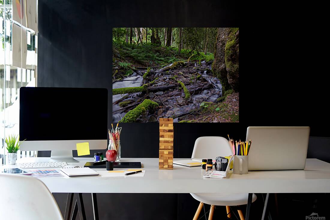 Bridal falls British Columbia creek 2 Reproduction