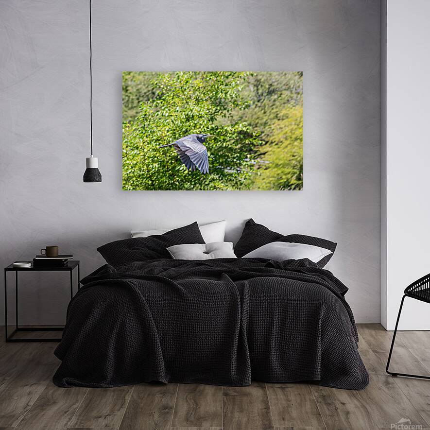 rifel bird sanctuary Reproduction